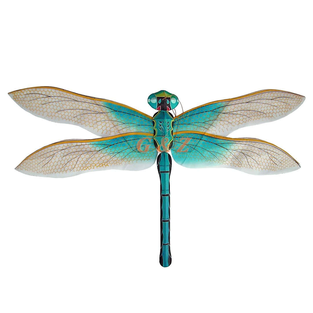 Blue Dragonfly, turquoise dragonfly, detailed wings, SD Desktop Wallpaper
