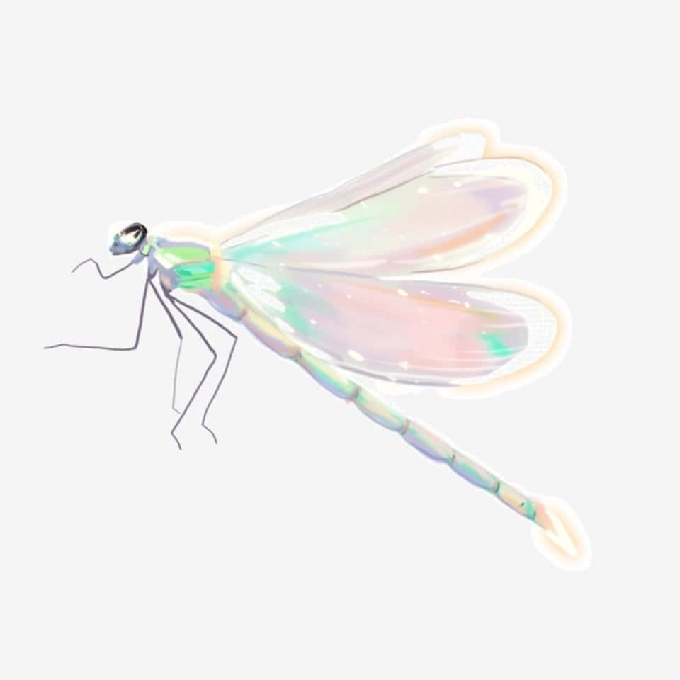 Blue Dragonfly, iridescent pastel wings, leaf, SD Desktop Wallpaper