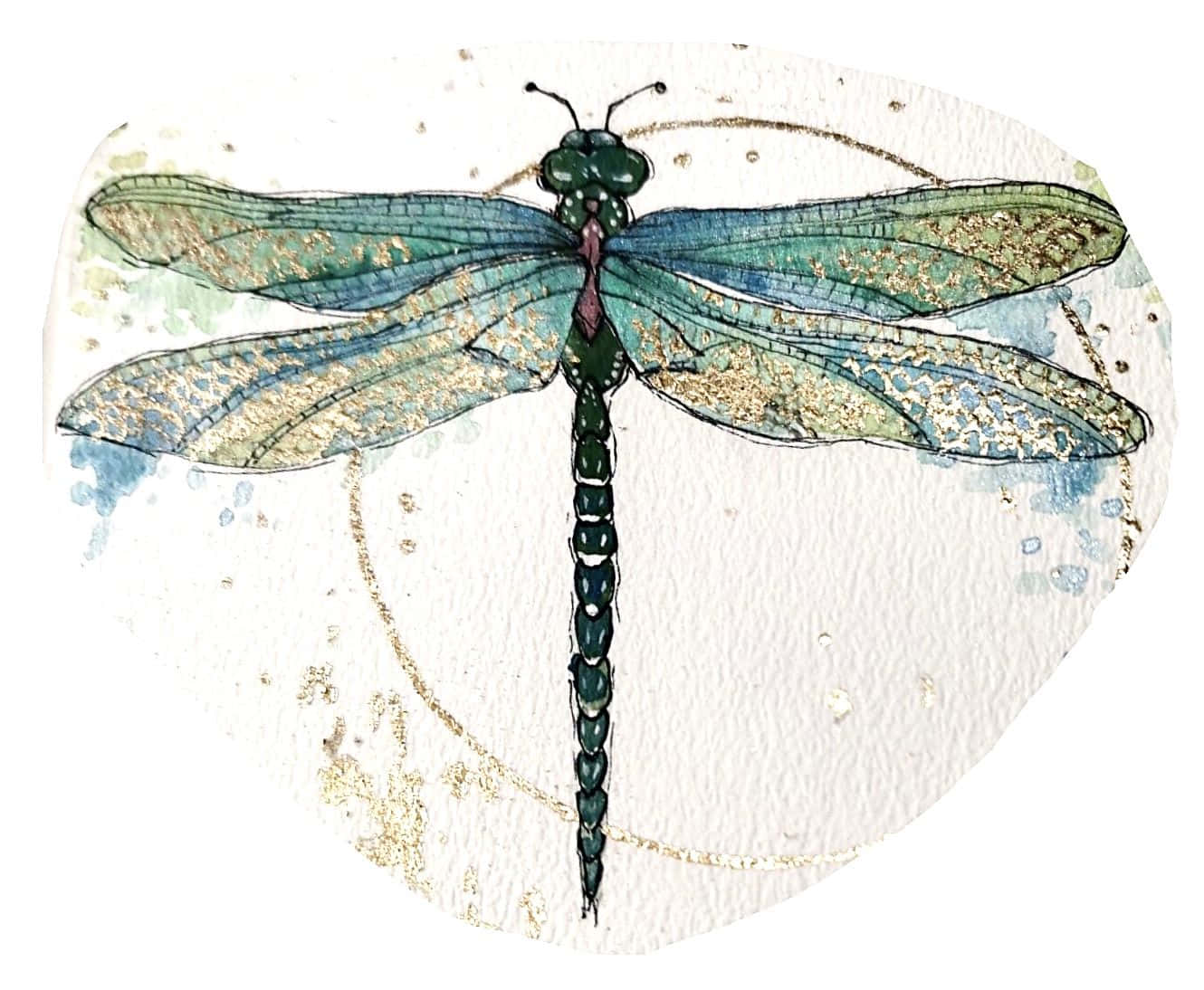 Blue Dragonfly, iridescent green wings, gold flecks, HD Desktop Wallpaper