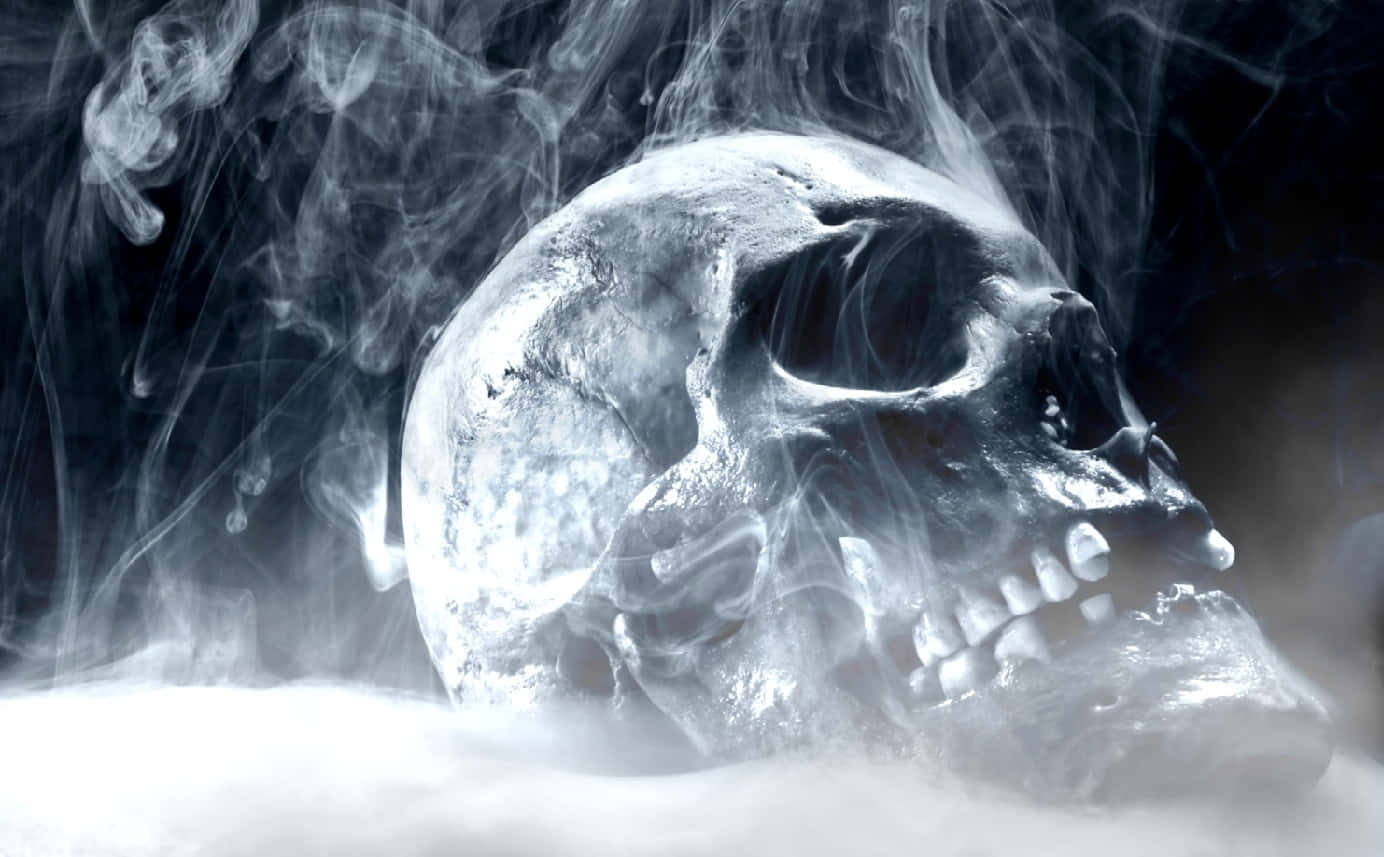 Blue Fire Skull, icy blue, white, HD Desktop Wallpaper
