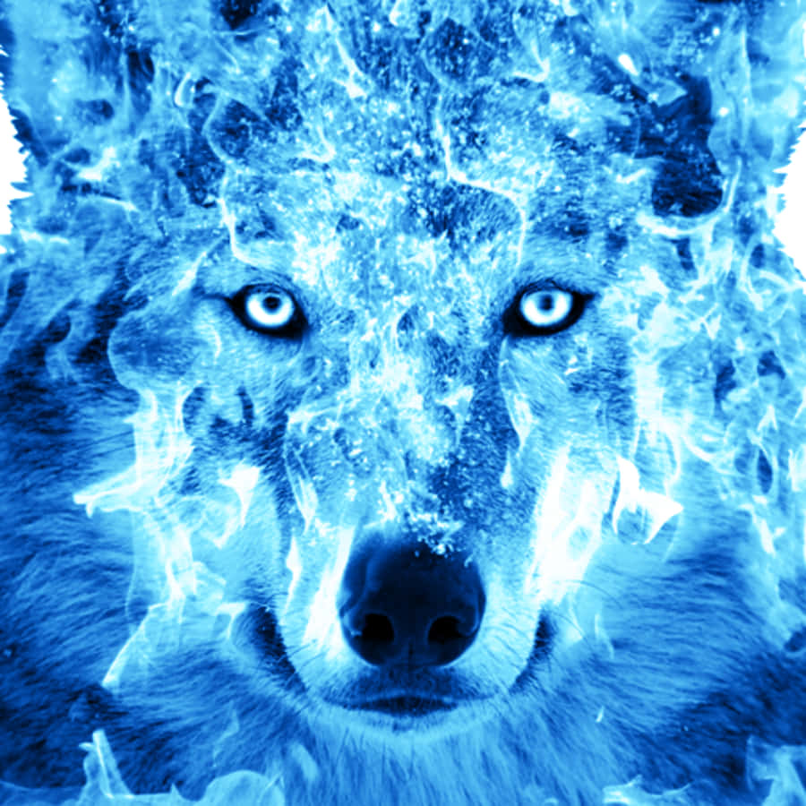 Blue Fire Wolf, swirling blue flames, glowing eyes, SD Desktop Wallpaper