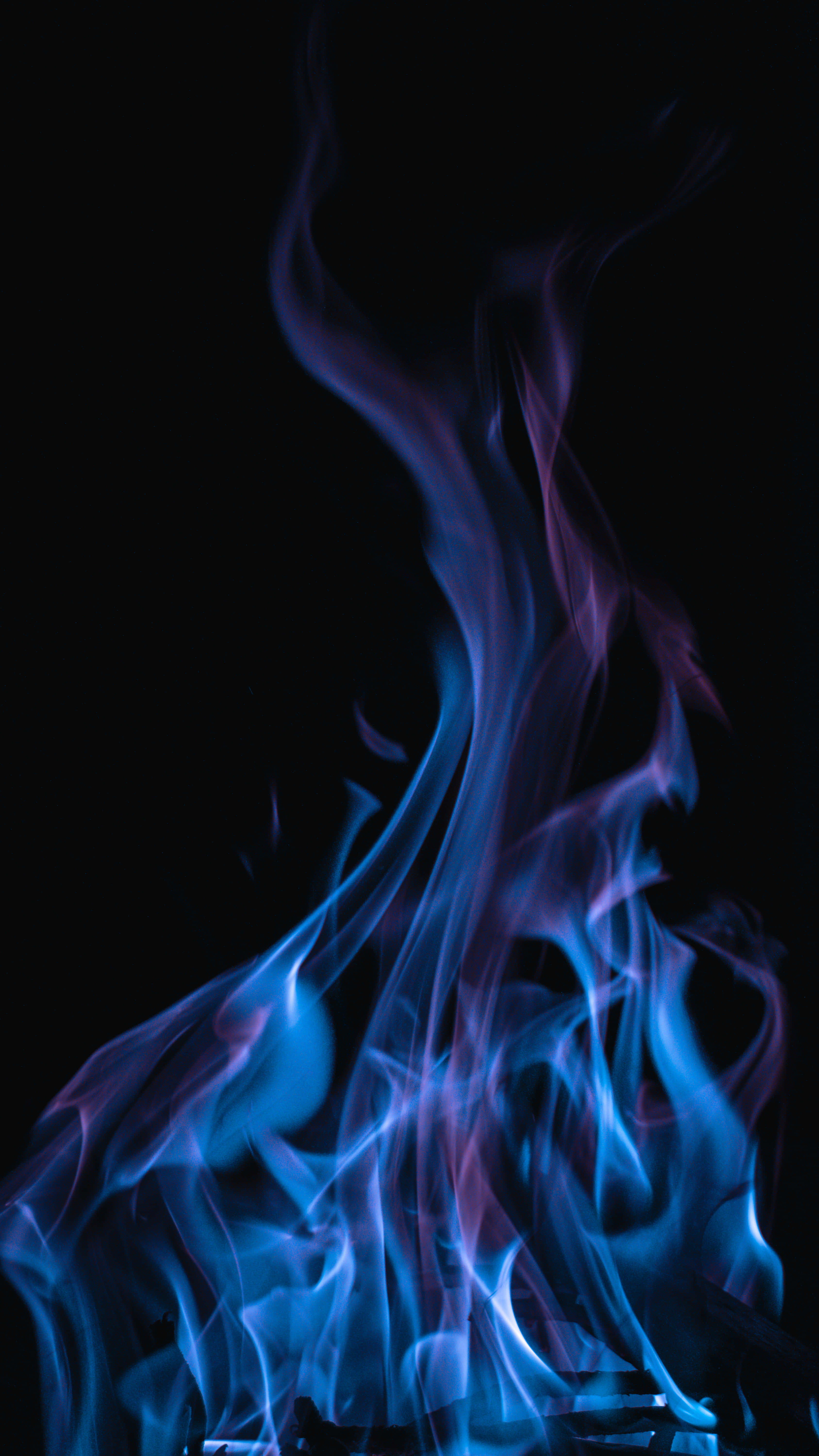 Blue Flames Fire PFP, vivid blue and purple flames, pure black background, 5K Phone Wallpaper