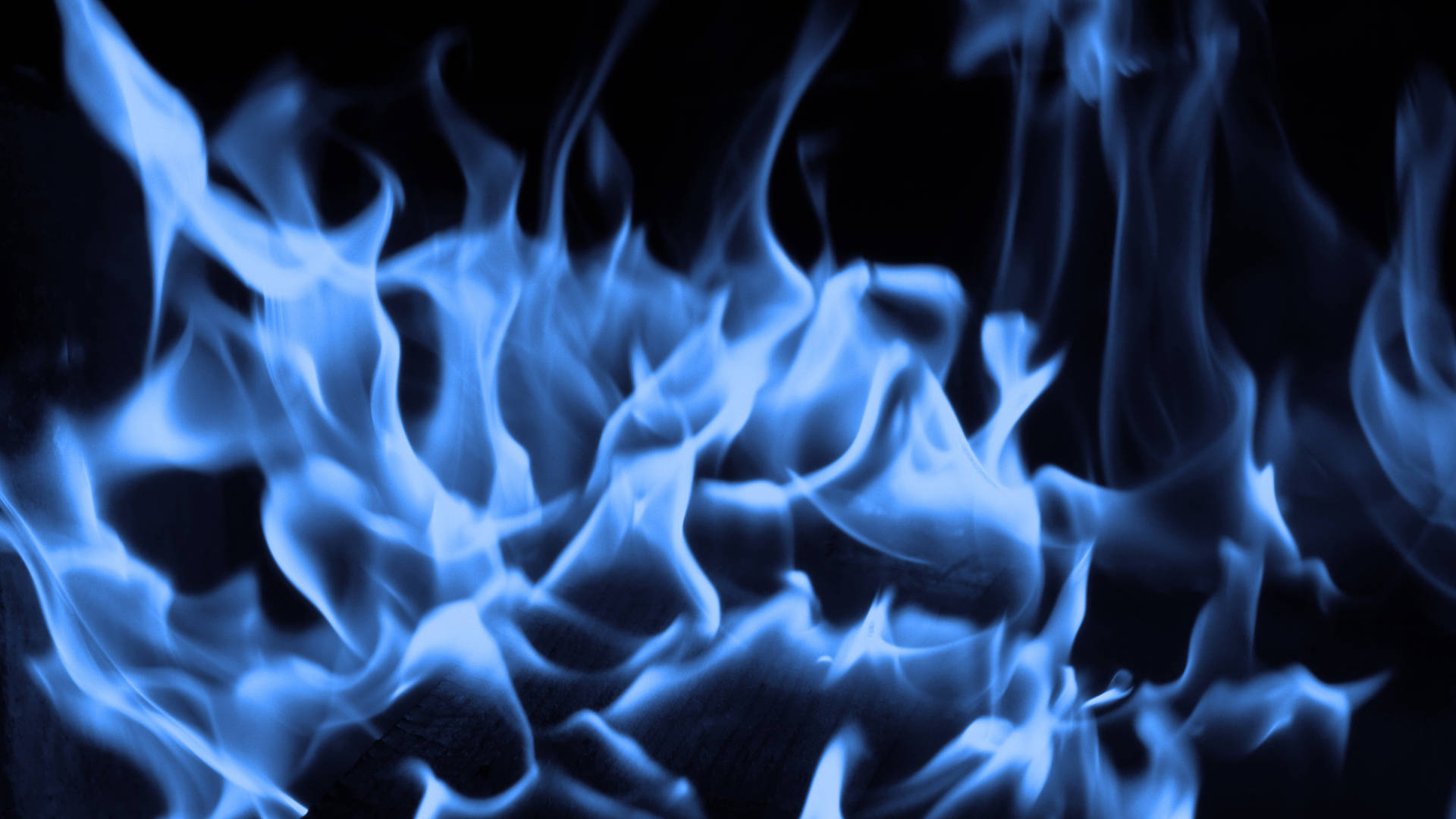 Blue Flames Digital, vivid blue flames, pitch black background, Full HD Desktop Wallpaper