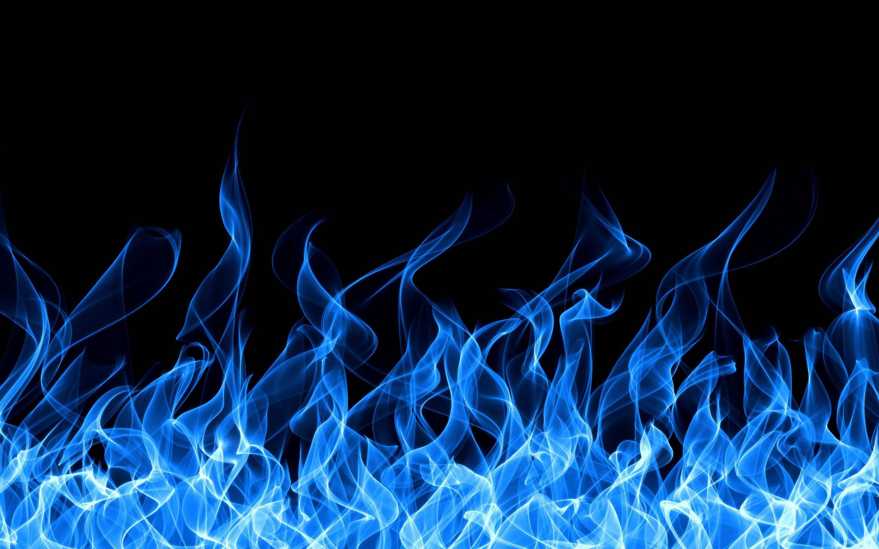 blue flames, black background, dancing flames, 2K Desktop Wallpaper