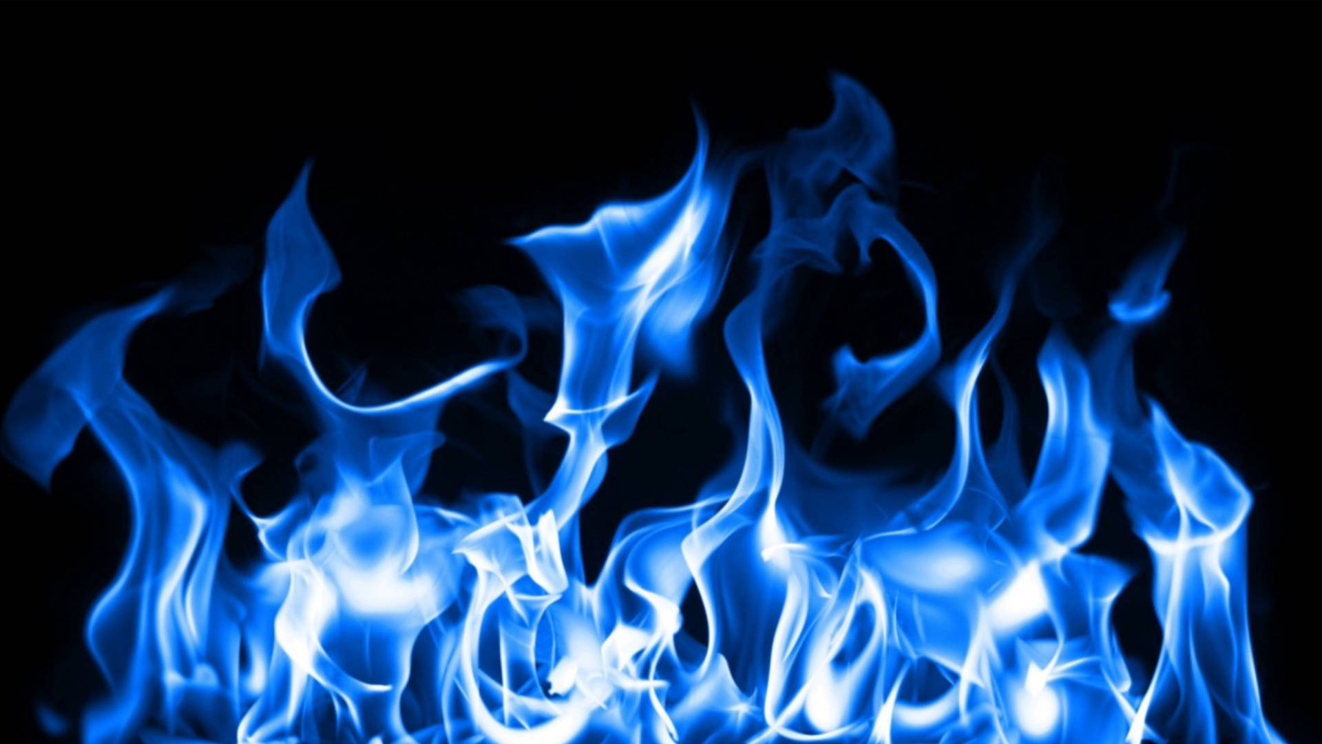 Blue Flames, vivid blue flames, stark black background, Full HD Desktop Wallpaper