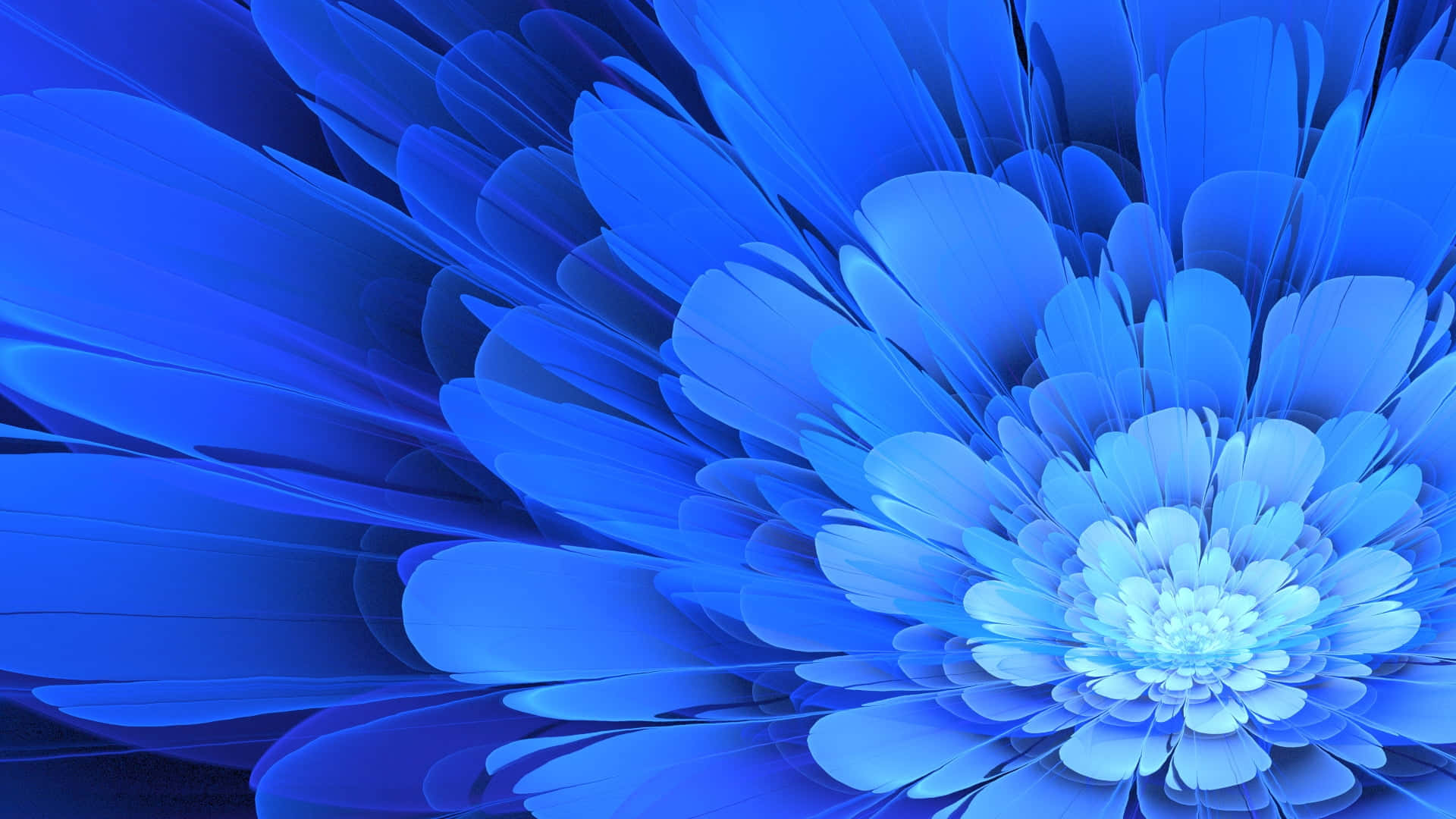 blue flower, lush green desktop, radiant blue flower, Full HD Desktop Wallpaper