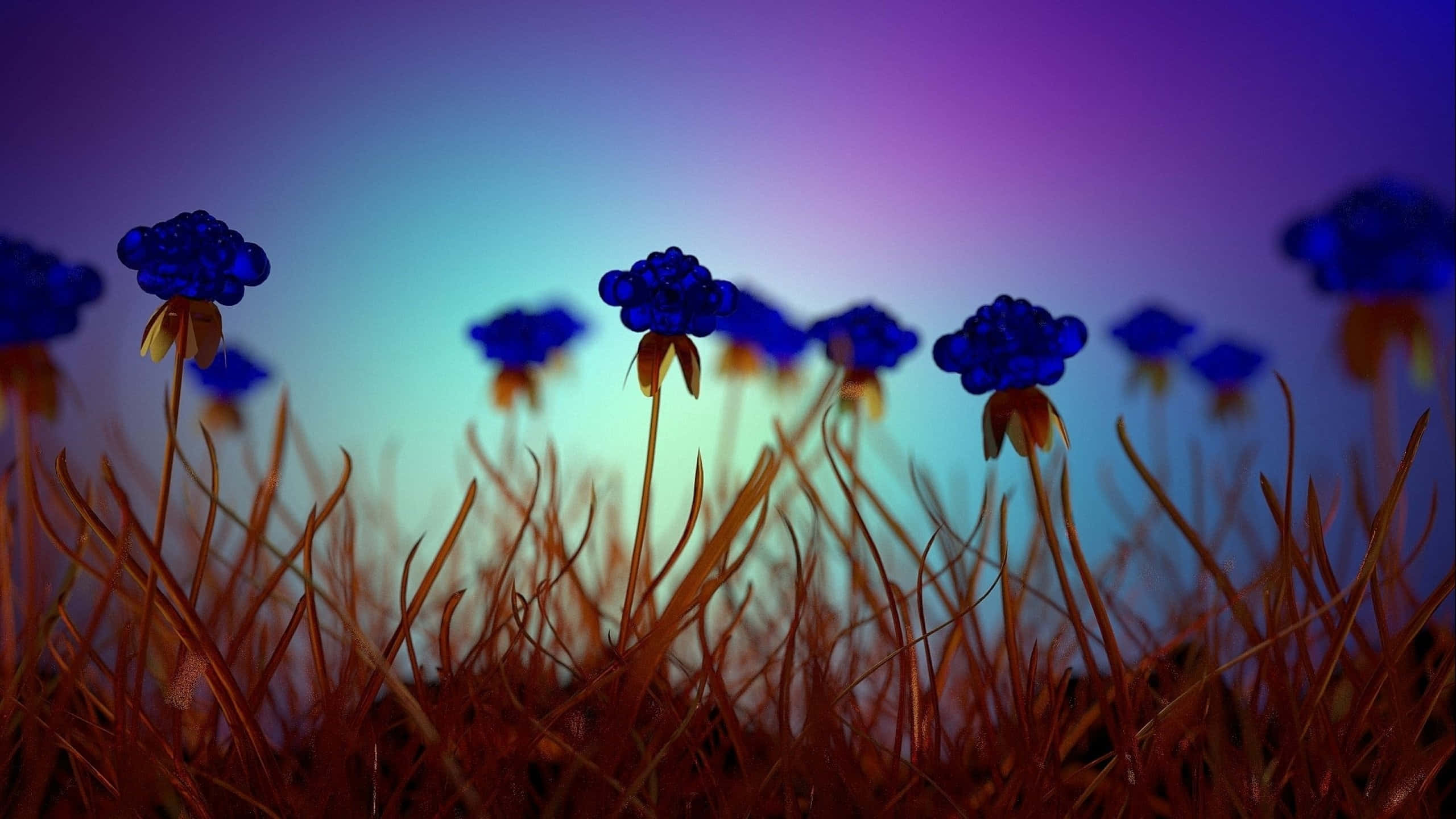 blue flower, golden grass, gradient purple and blue sky, 2K Desktop Wallpaper