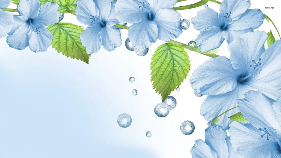 Blue Flower iPhone