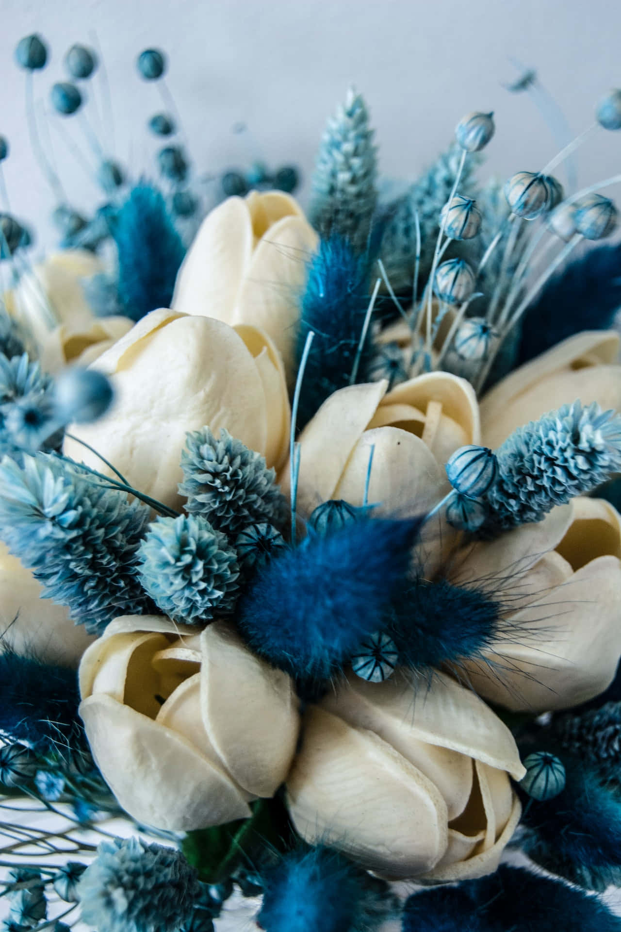 creamy white tulips, deep blue feathery grasses, soft textured floral bouquet, Full HD Phone Wallpaper