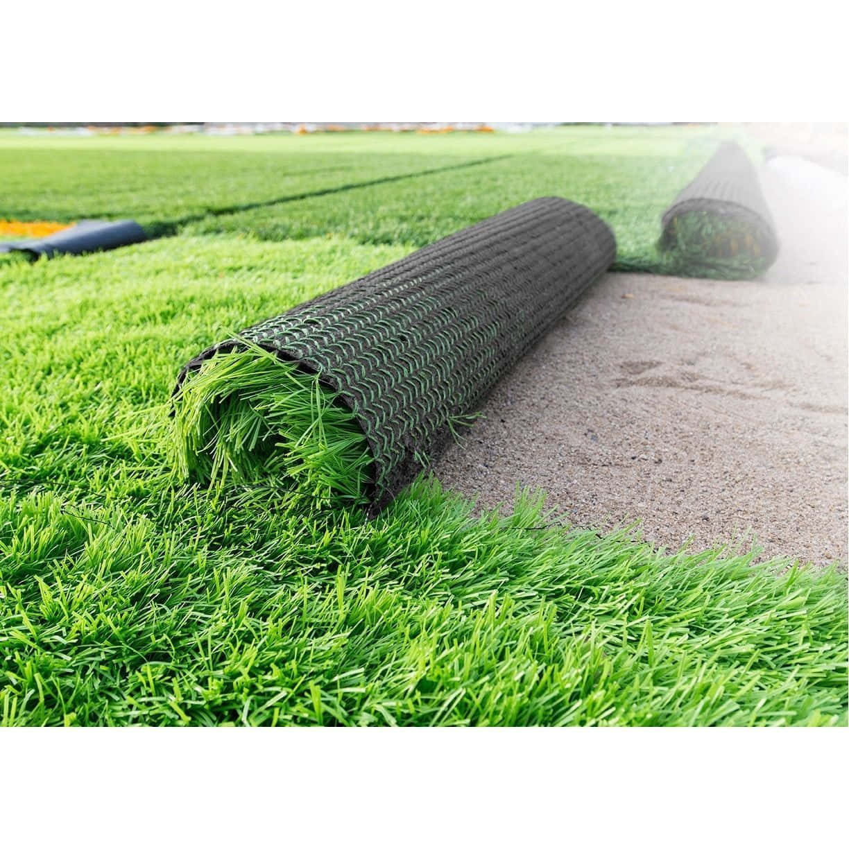 Blue Grass, 1224 x 1224 wallpaper, vibrant green artificial grass, SD Desktop Wallpaper