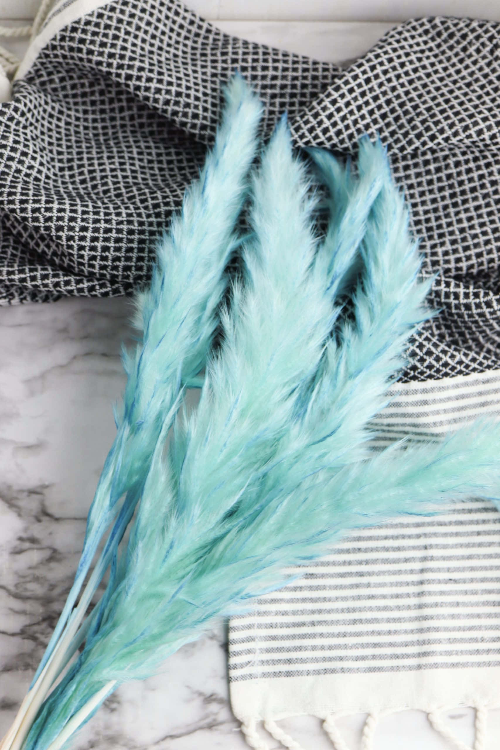 blue grass, turquoise pampas grass, black and white checkered cloth, 2K Phone Wallpaper