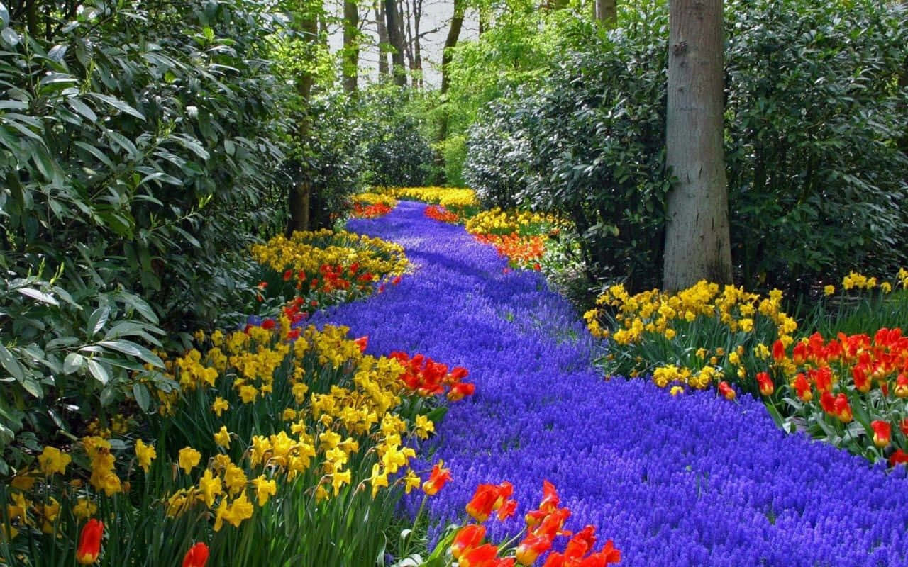 Blue Grass, purple flowers, yellow and red blooms, HD Desktop Wallpaper