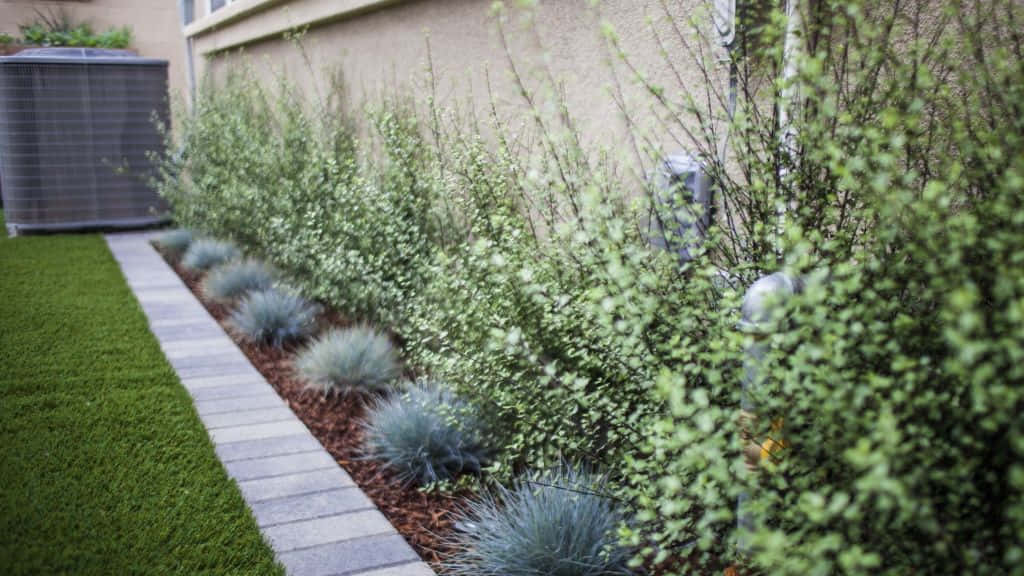 Blue Grass, gray stone tiles, vibrant green lawn, SD Desktop Wallpaper