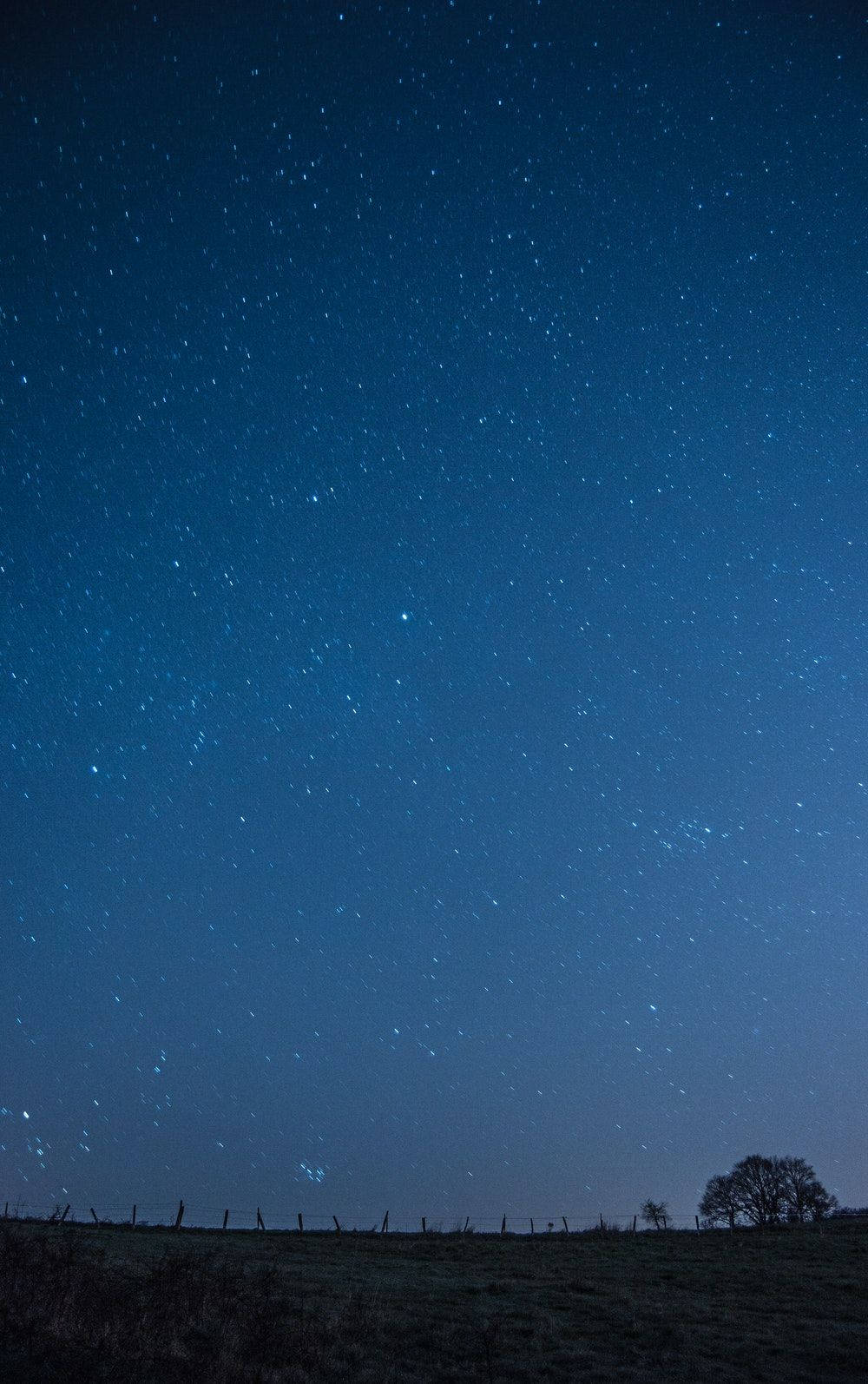 Meadow Dark Blue Sky, starry night sky, dark silhouetted field, HD Phone Wallpaper