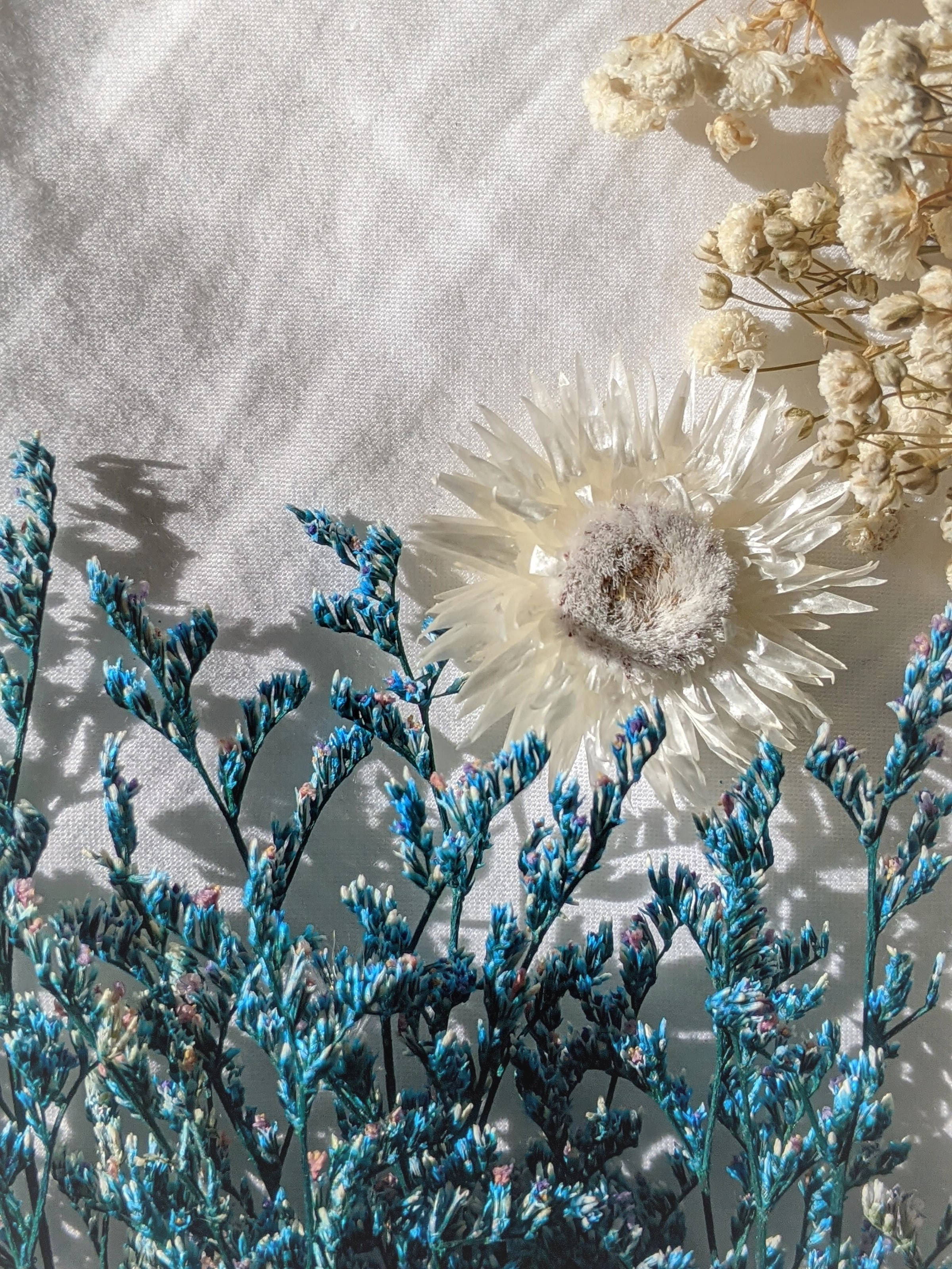 blue, white, dried grass, 2K Phone Wallpaper