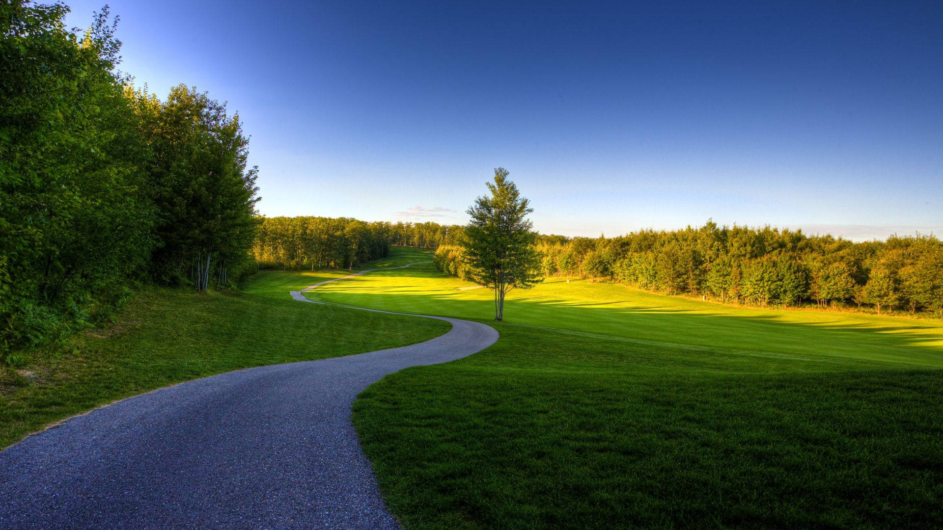 green grass field, clear blue sky, gravel path, Full HD Desktop Wallpaper