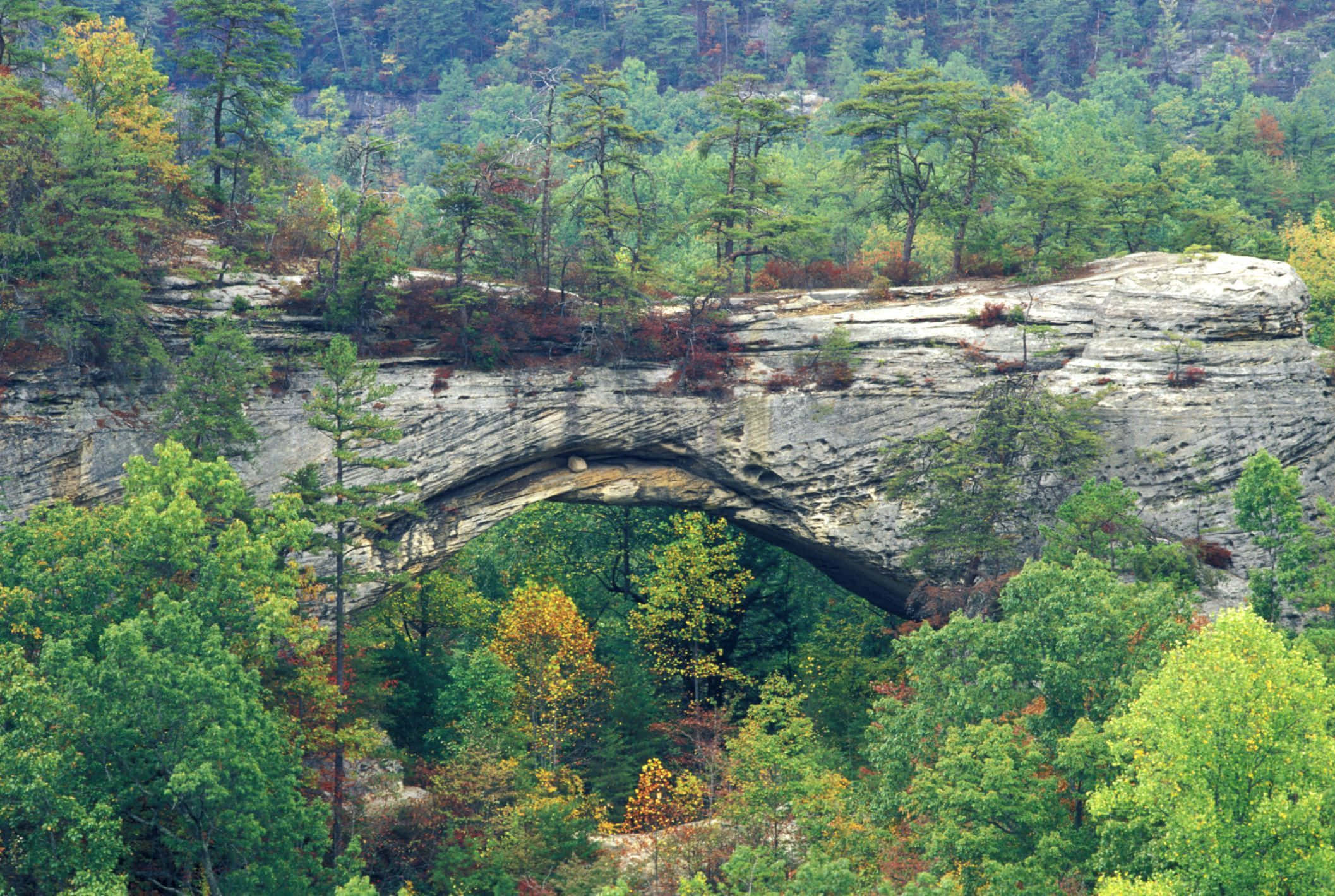 Blue Grass, natural stone arch, forested valley, Full HD Desktop Wallpaper