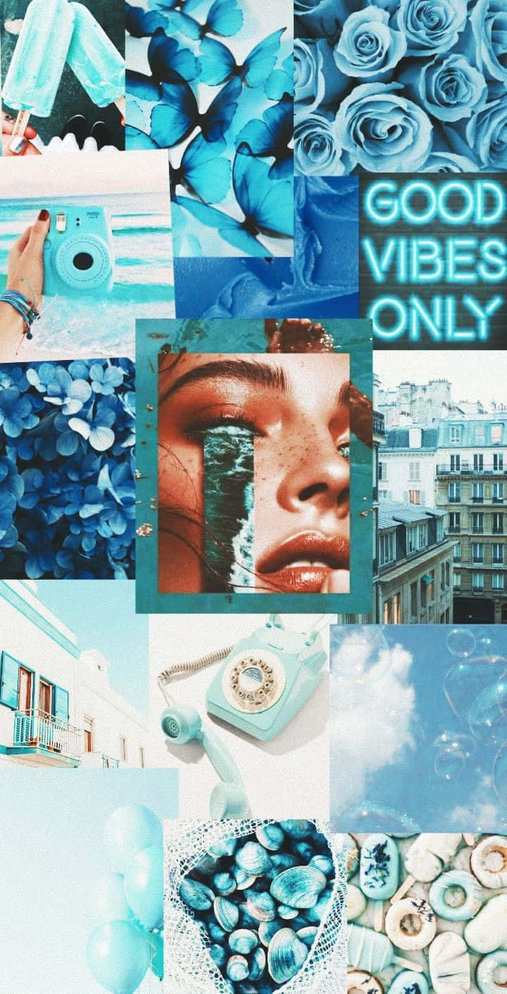 Blue Green Aesthetic, butterflies, roses, HD Phone Wallpaper