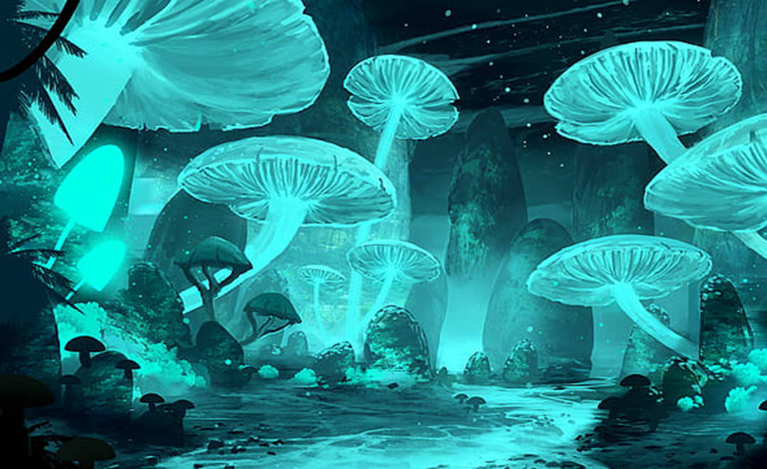 glowing turquoise mushrooms, mystical forest floor, starry night sky, SD Desktop Wallpaper