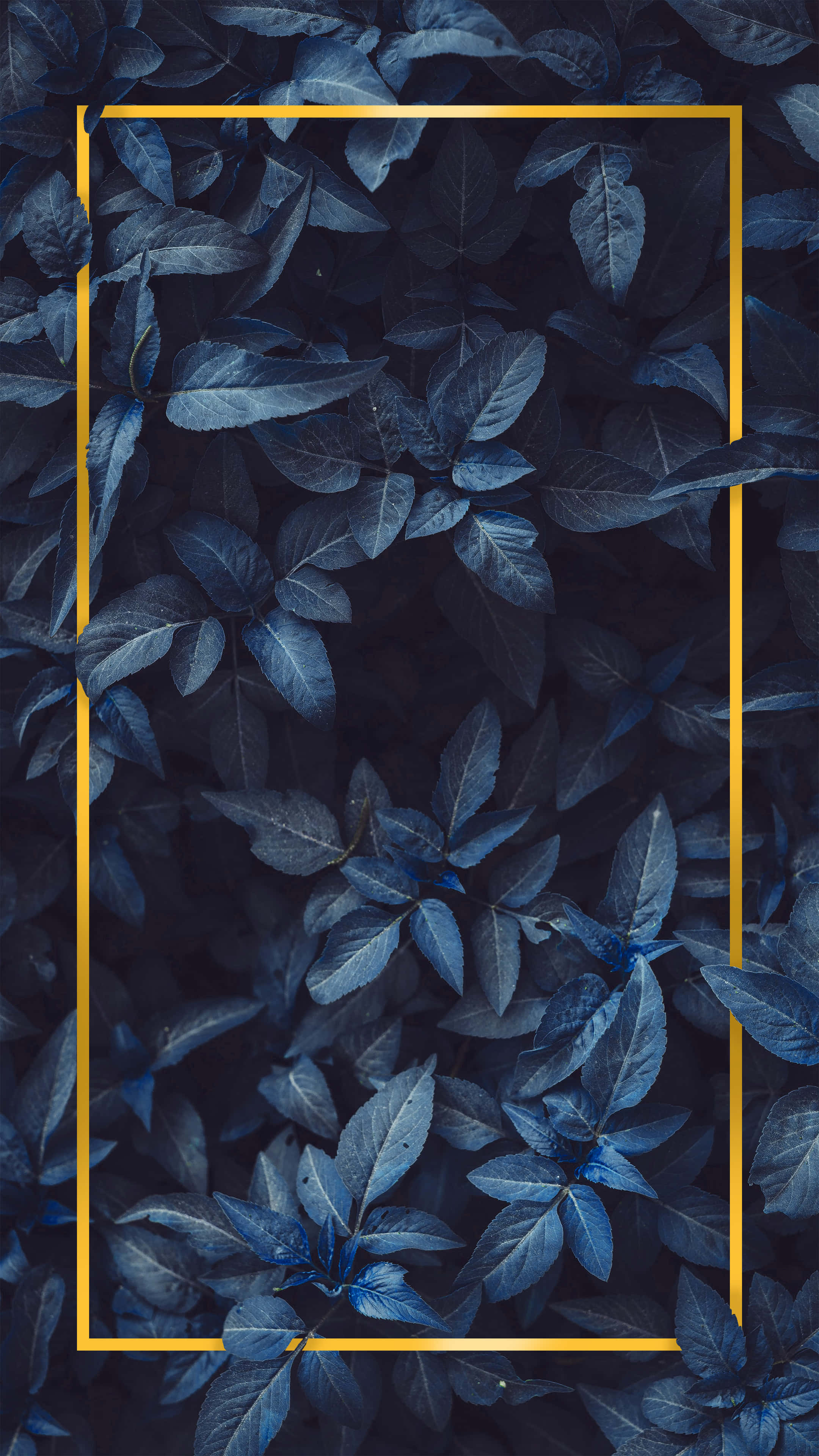 dark blue, glowing gold, rectangular border, 4K Phone Wallpaper