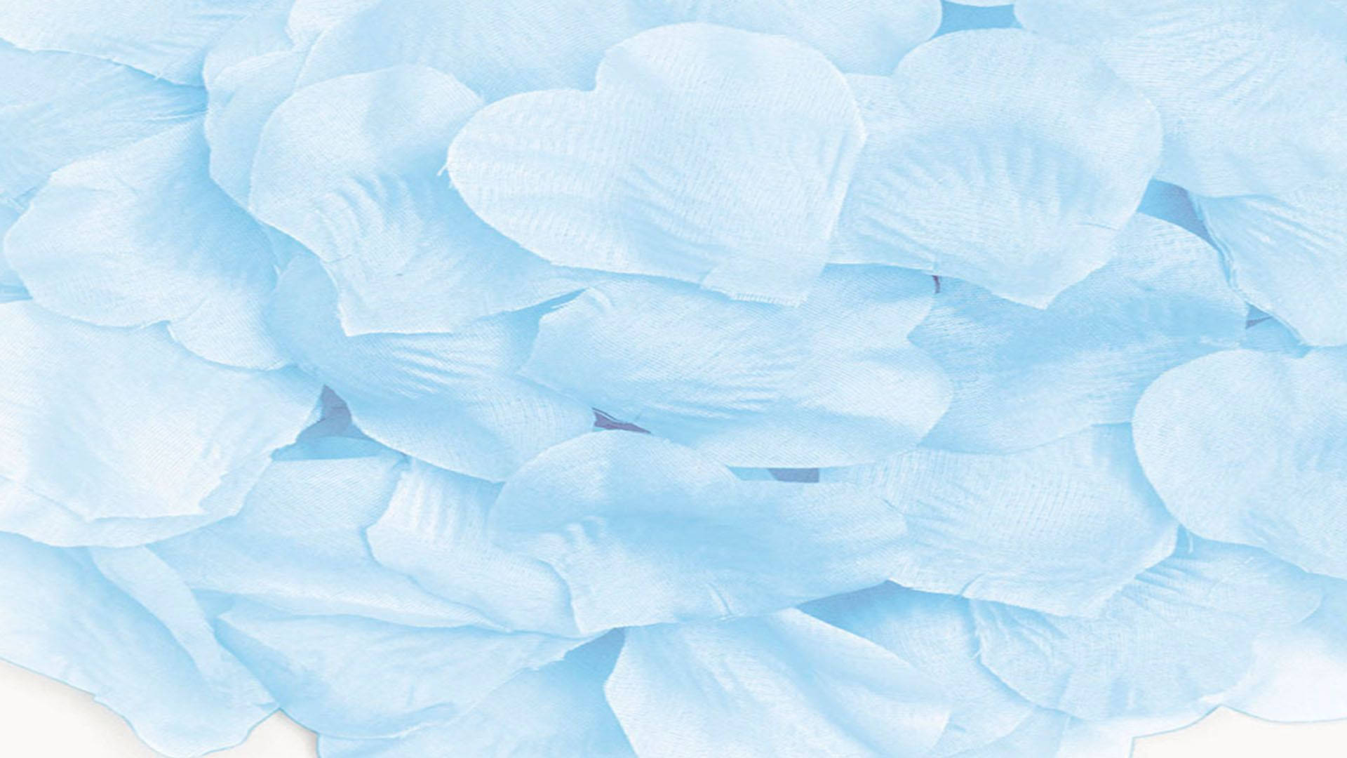 Baby Blue Heart Leaves, light blue, paper hearts, Full HD Desktop Wallpaper