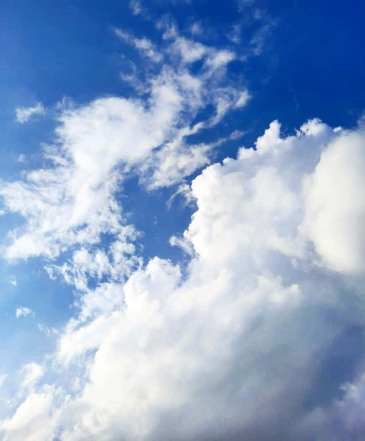 Blue Horizon, blue sky, fluffy white clouds, SD Phone Wallpaper