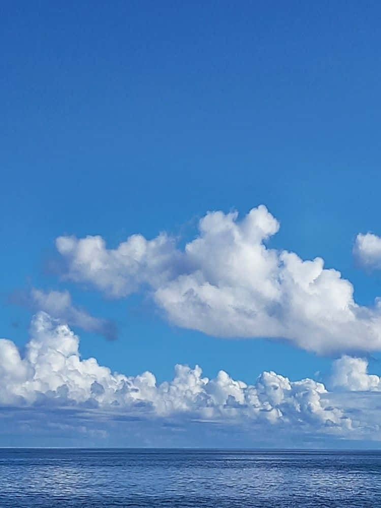Blue Horizon, vast ocean, brilliant blue sky, SD Phone Wallpaper