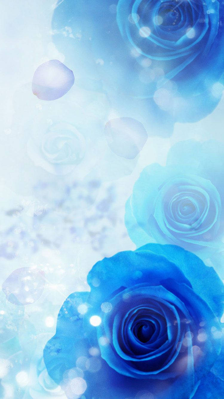 Roses Blue iPhone, vibrant blue roses, ethereal light, HD Phone Wallpaper