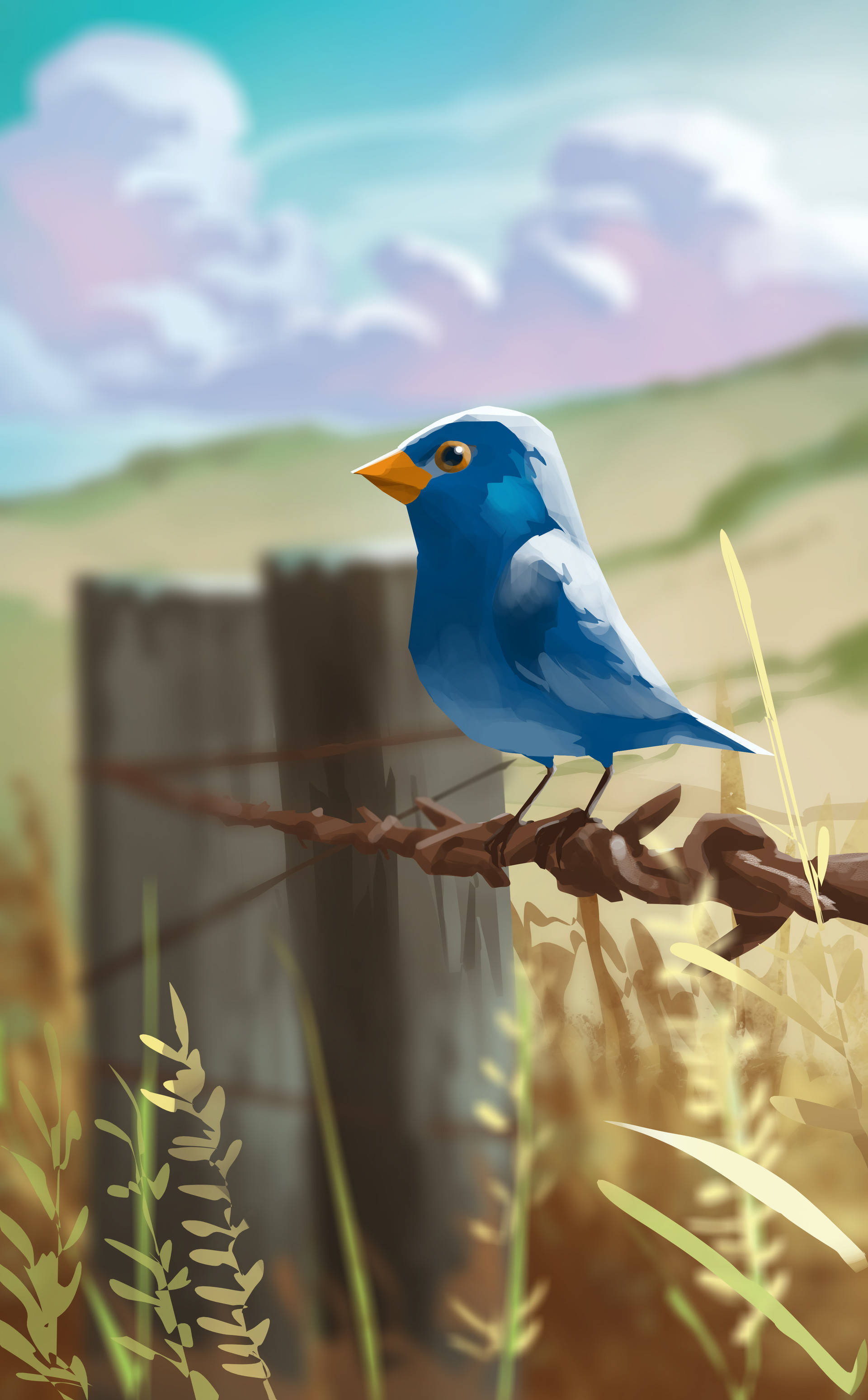 blue bird, orange beak, rusty barbed wire fence, 2K Phone Wallpaper