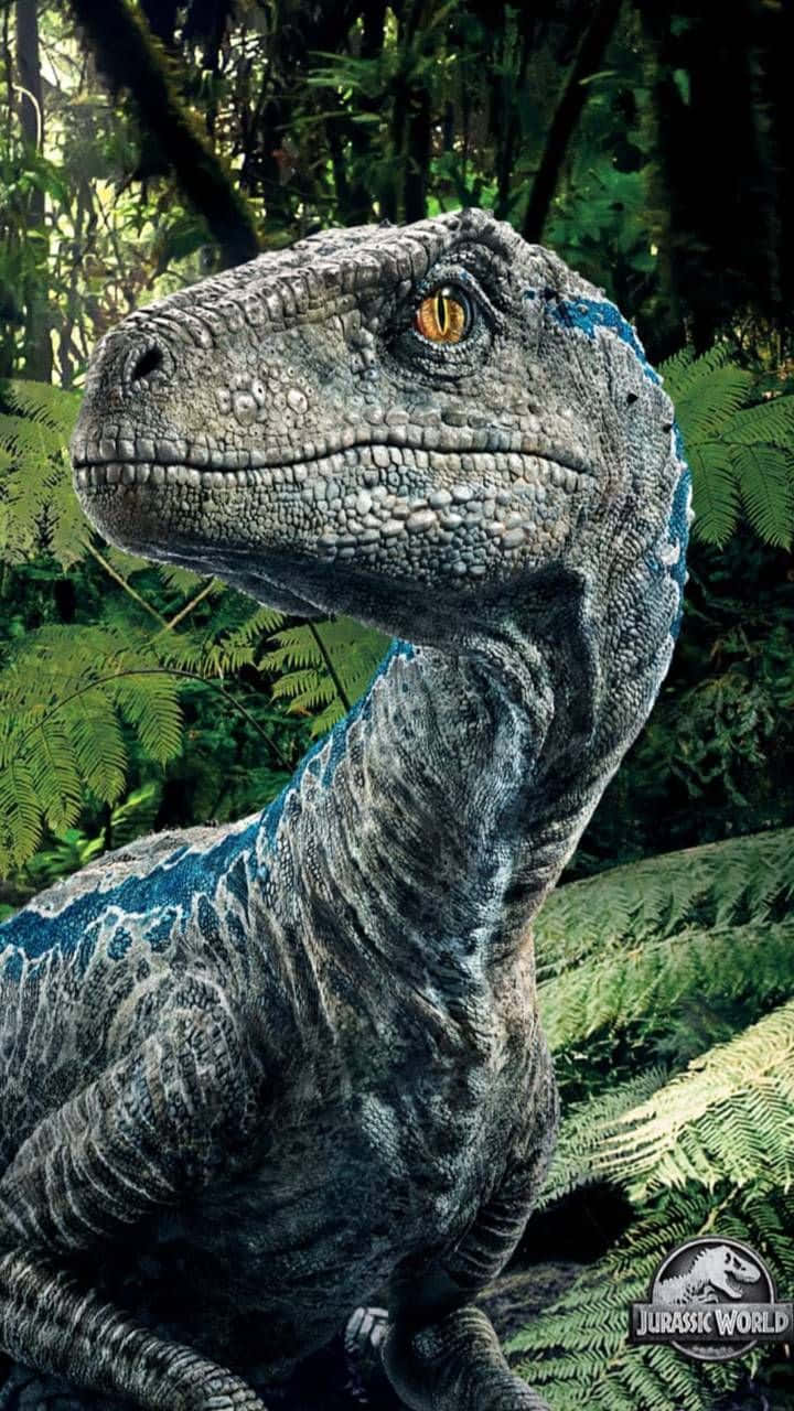 Blue Jurassic World, velociraptor, amber eyes, HD Phone Wallpaper