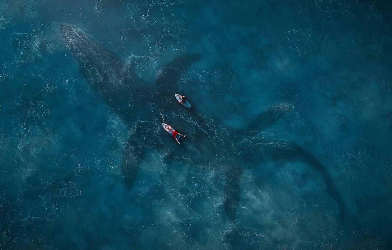 blue jurassic world, whale shark, crystal clear turquoise waters, HD Desktop Wallpaper