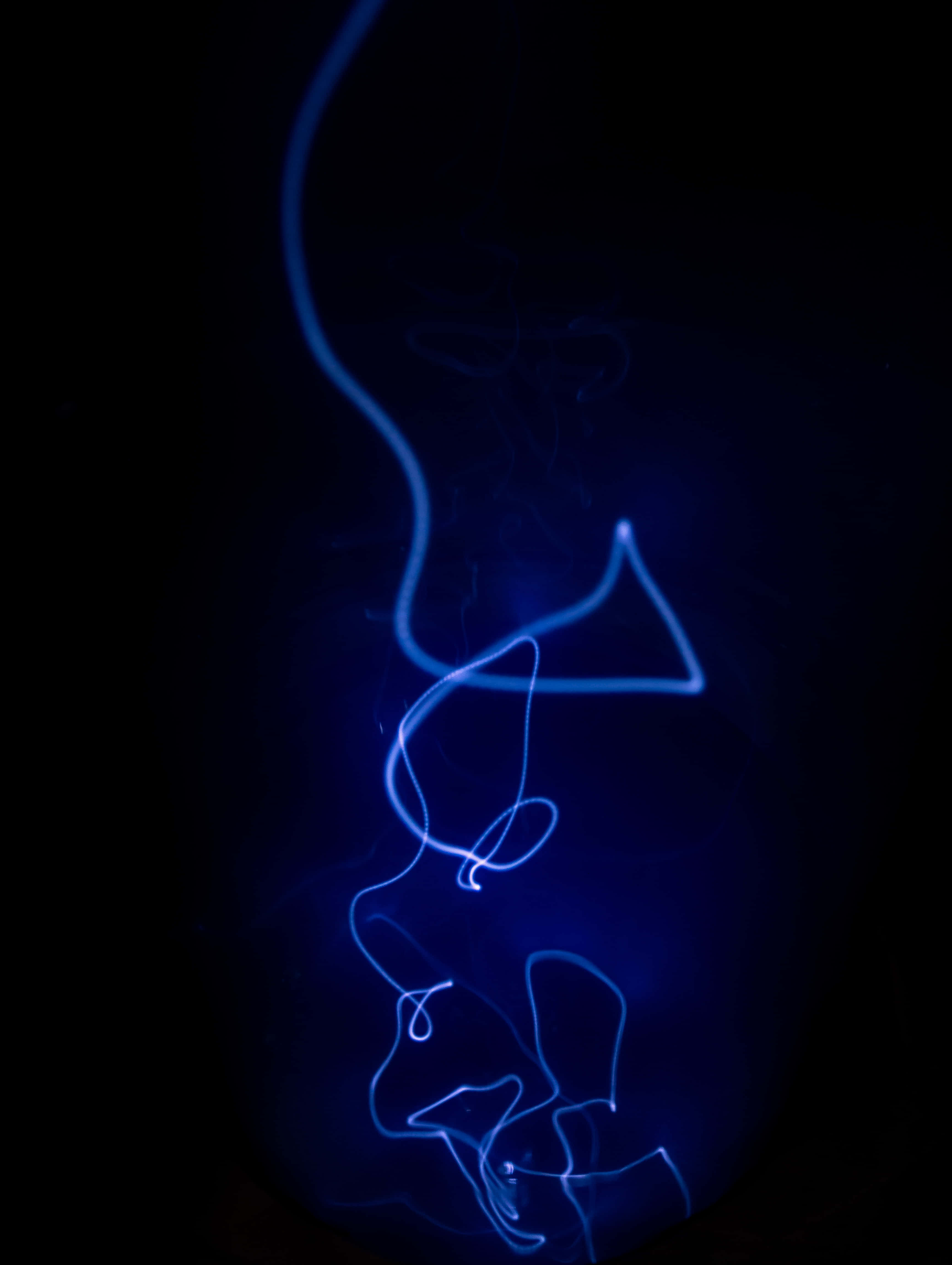 blue light painting, dog, deep black background, 4K Phone Wallpaper