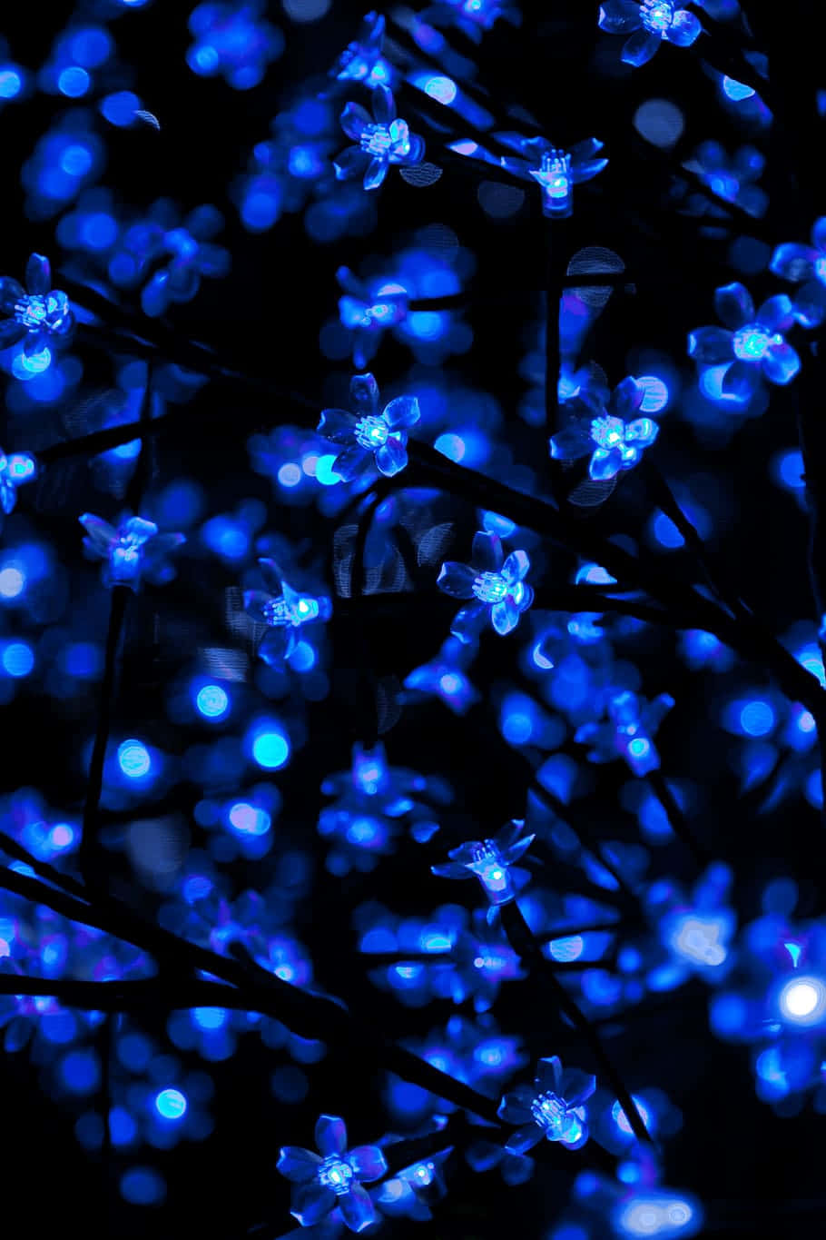 Blue LED, flowers, dark background, HD Phone Wallpaper