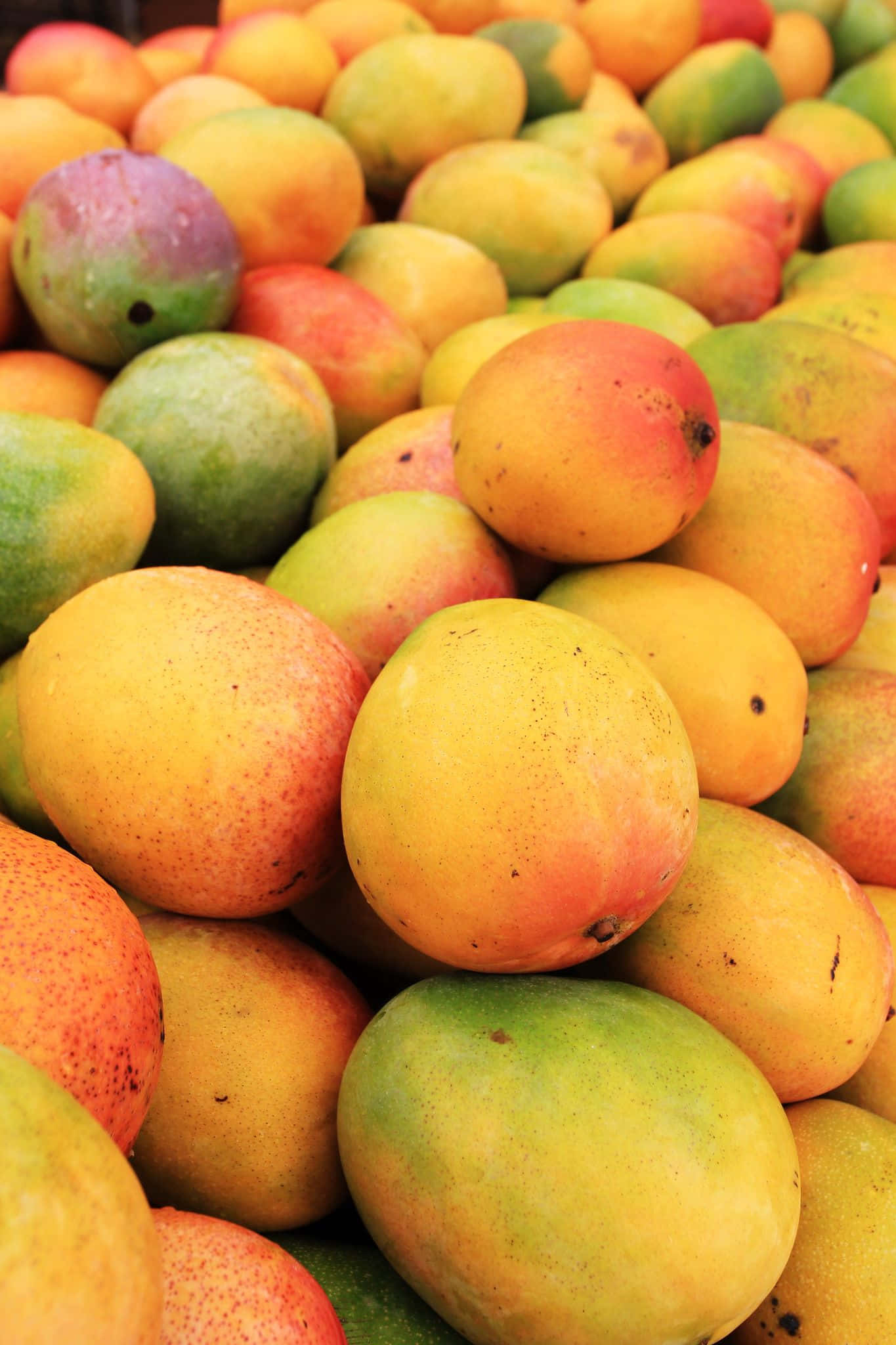 Blue Mango, 1365 x 2048, mangoes, Full HD Phone Wallpaper