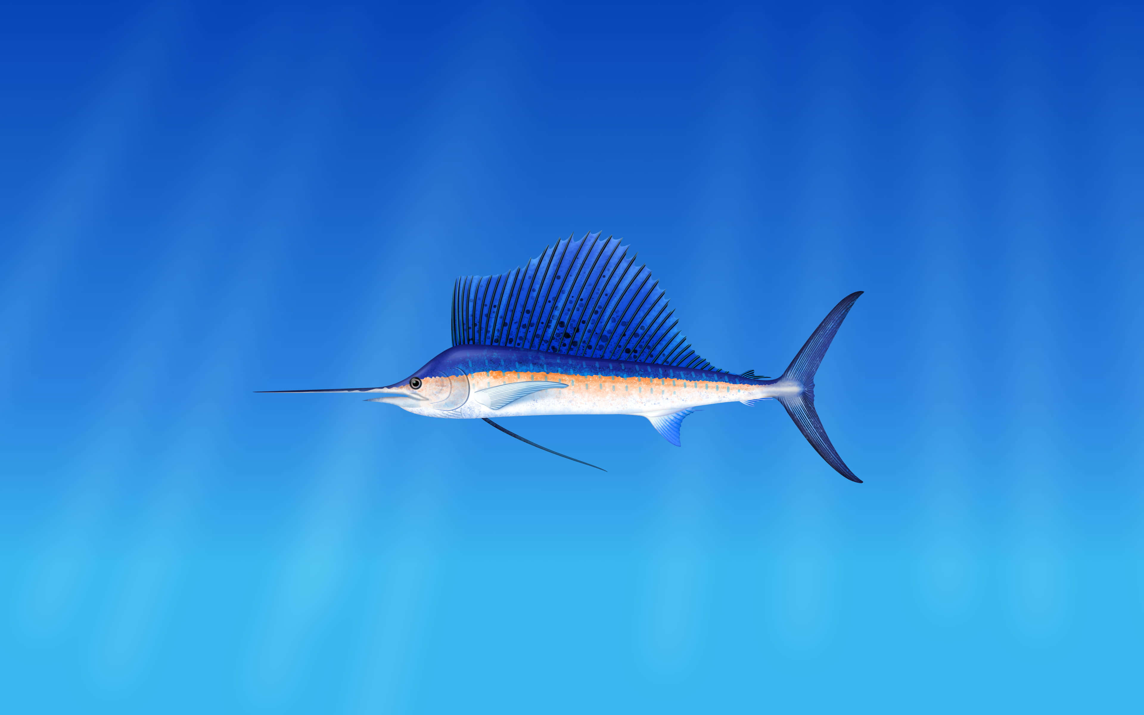 Blue Marlin, clear blue ocean water, sunlight rays, 4K Desktop Wallpaper