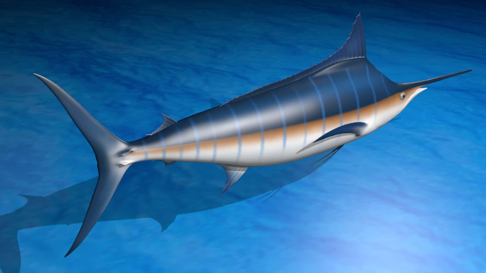Blue Marlin, turquoise ocean water, sword-like bill, Full HD Desktop Wallpaper
