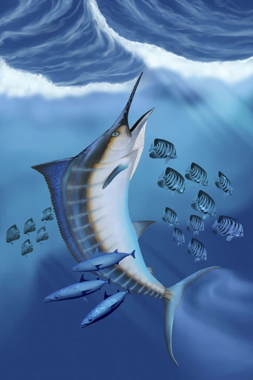 Blue Marlin, deep blue ocean waters, schools of striped fish, HD Phone Wallpaper