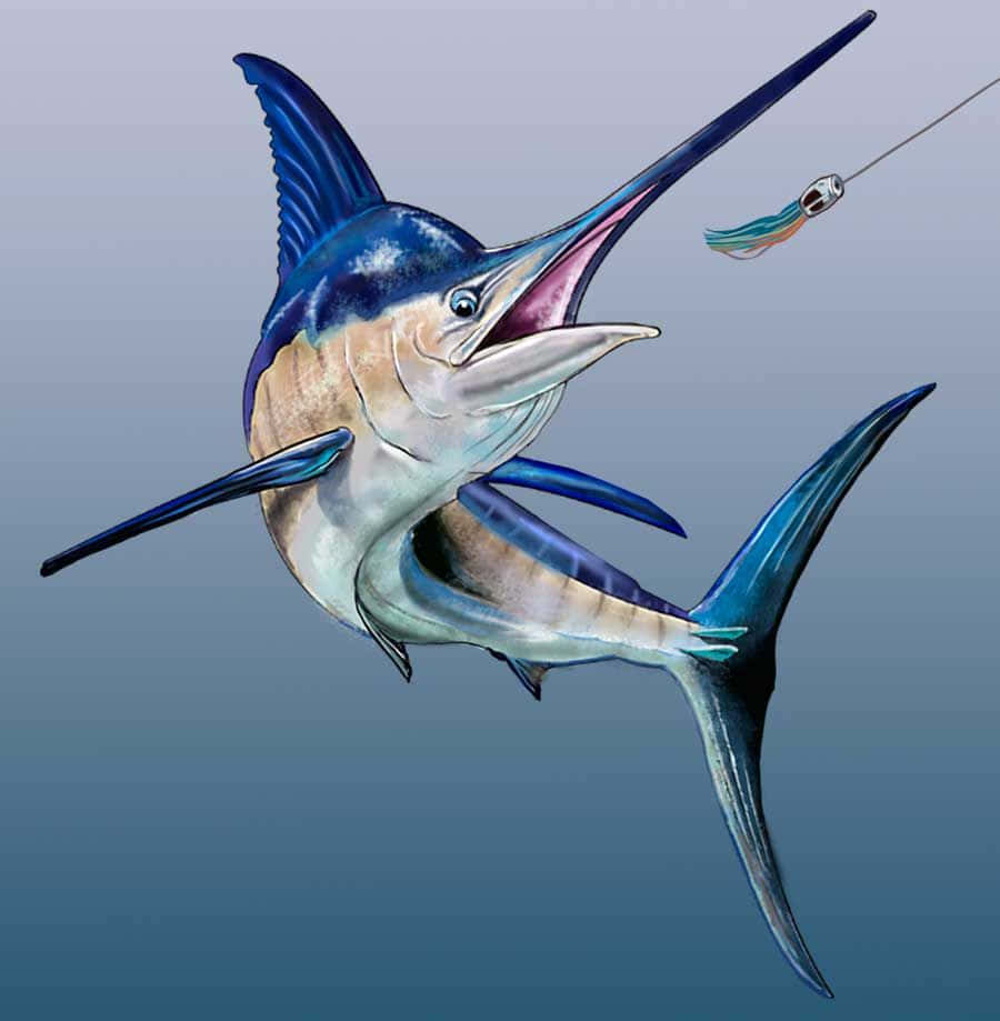 Blue Marlin, jaws open, colorful fishing lure, SD Phone Wallpaper