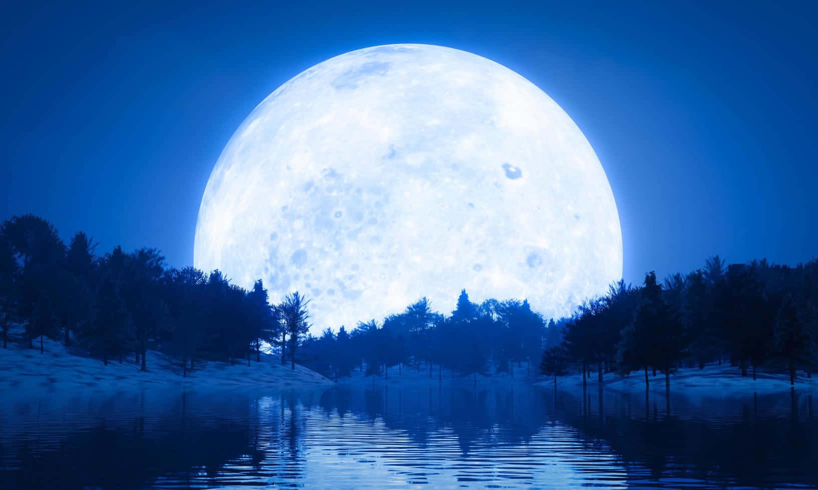 Blue Moon, silhouetted forest, snowy forest, HD Desktop Wallpaper