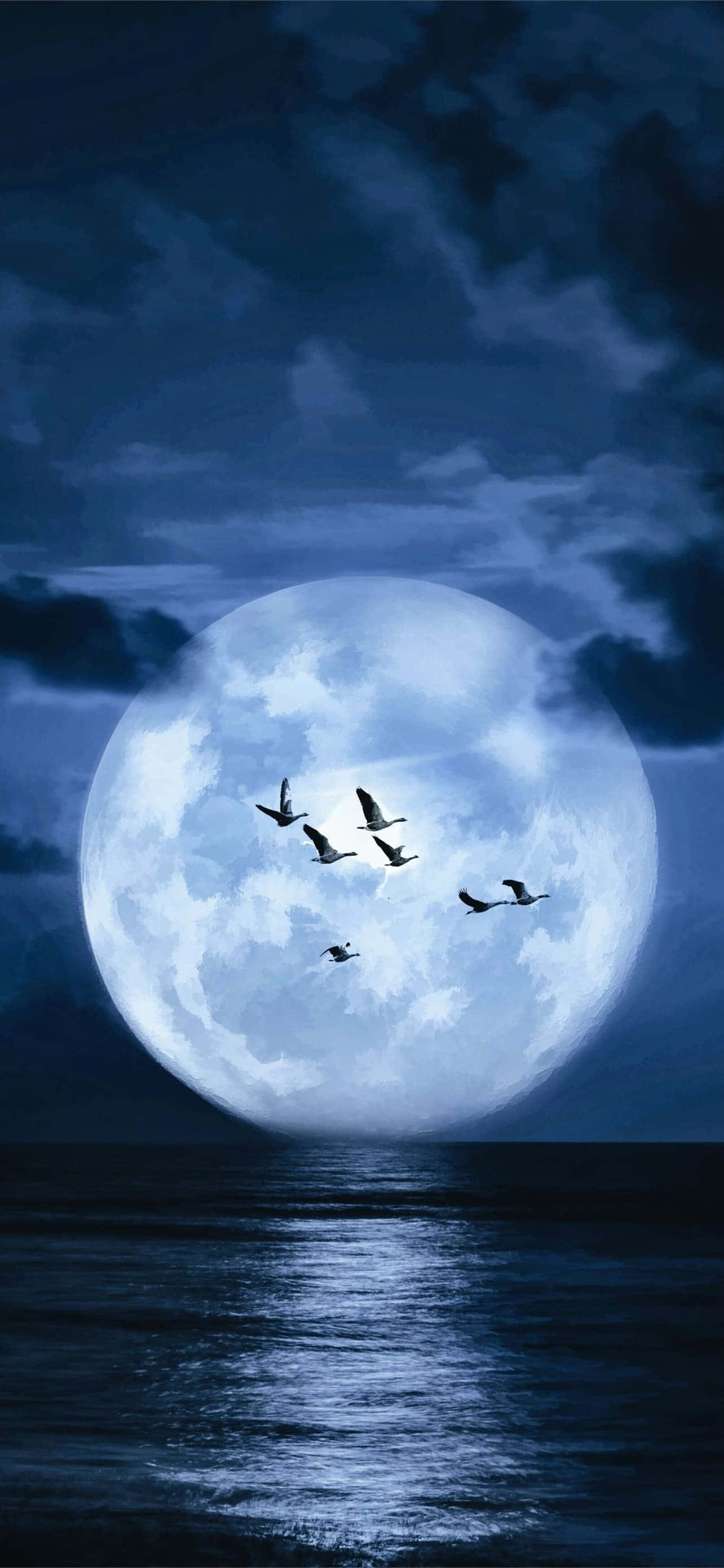 Blue Moon, silhouette birds, glowing moon, 2K Phone Wallpaper