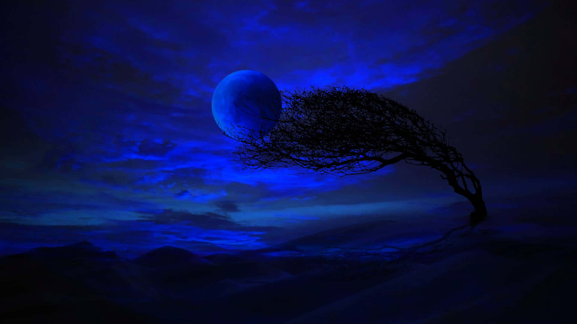 Blue Moon, twisted tree silhouette, glowing blue moon, Full HD Desktop Wallpaper