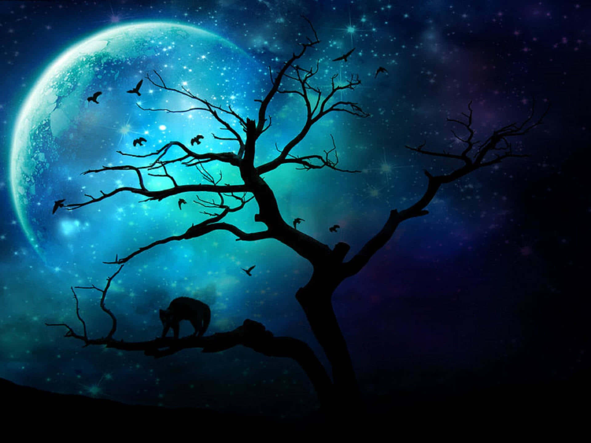 blue moon, starry night sky, bare tree, Full HD Desktop Wallpaper