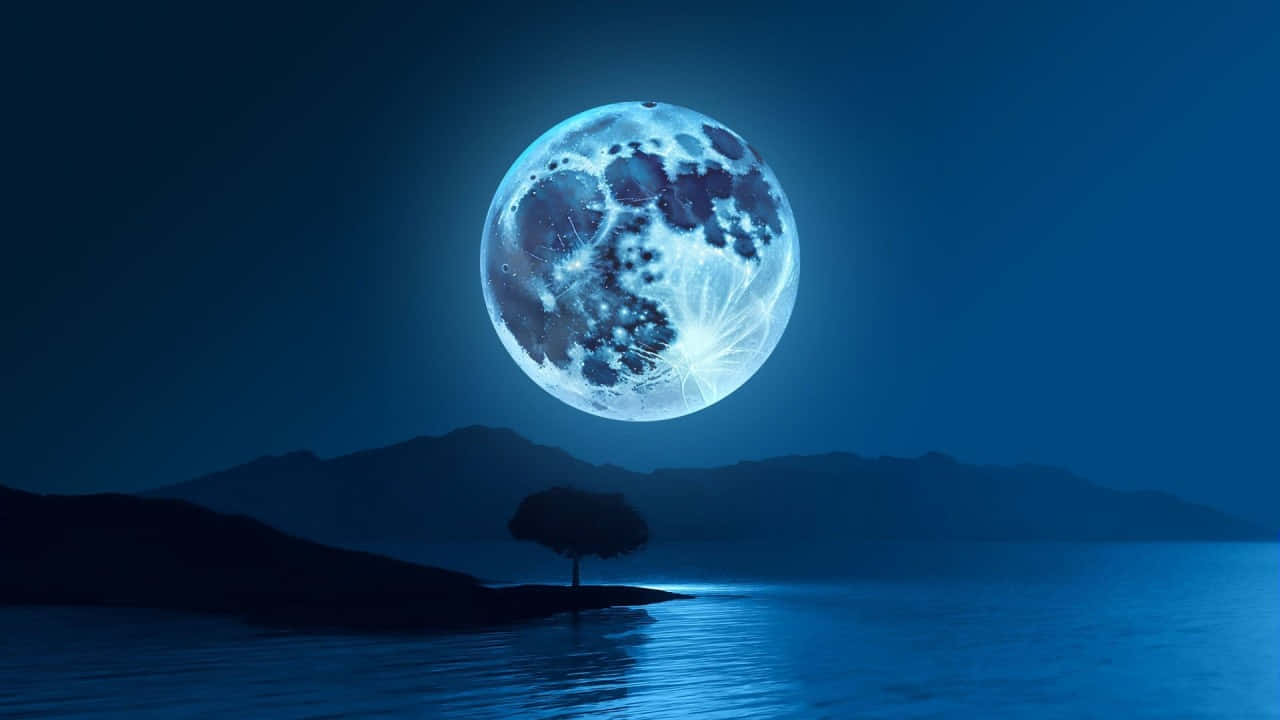Blue Moon, lake, lone tree, HD Desktop Wallpaper