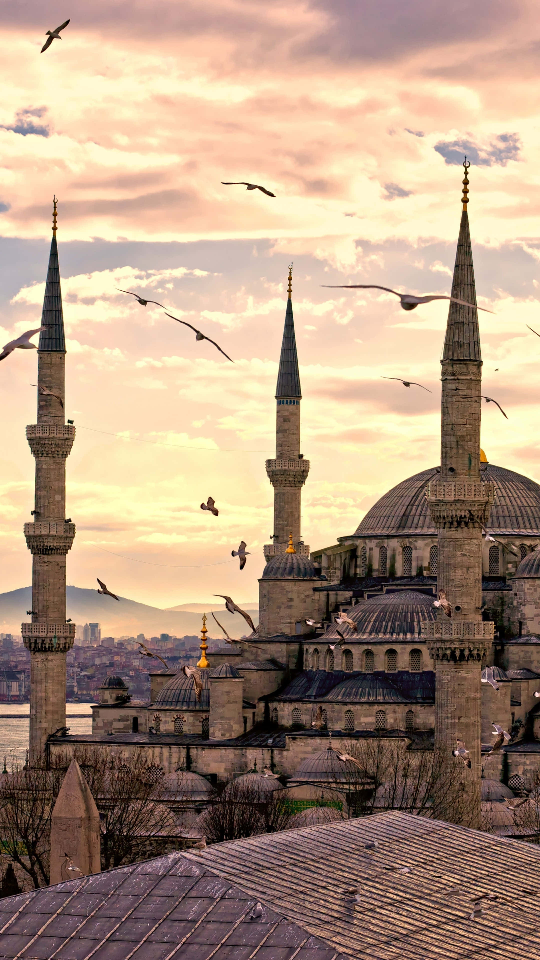 Blue Mosque, golden sunset sky, spires, 4K Phone Wallpaper