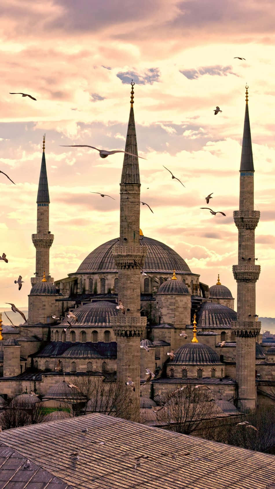 Blue Mosque, minarets, domes, HD Phone Wallpaper