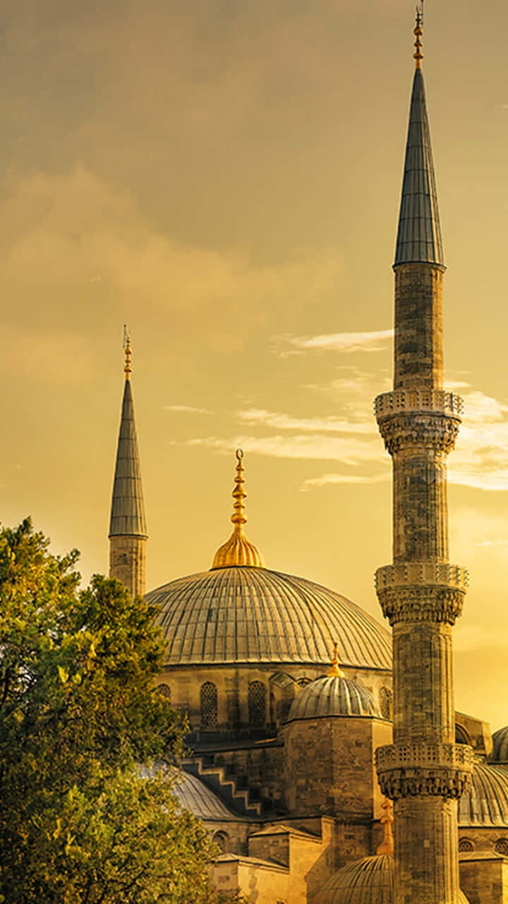 Blue Mosque, golden hours, domes, HD Phone Wallpaper