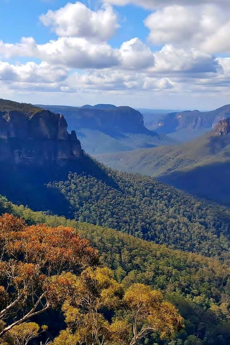 Blue Mountains, deep valley, towering cliffs, SD Phone Wallpaper