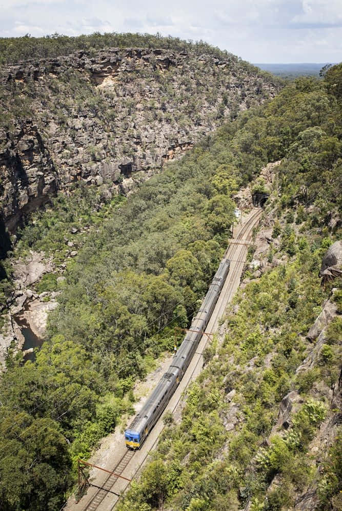Blue Mountains National Park, blue and silver train, lush green canyon, SD Phone Wallpaper