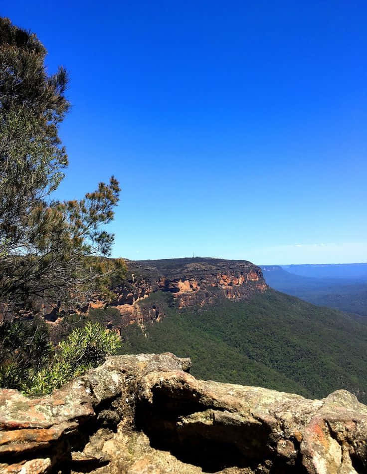 Blue Mountains National Park, red cliffs, lush green forests, SD Phone Wallpaper