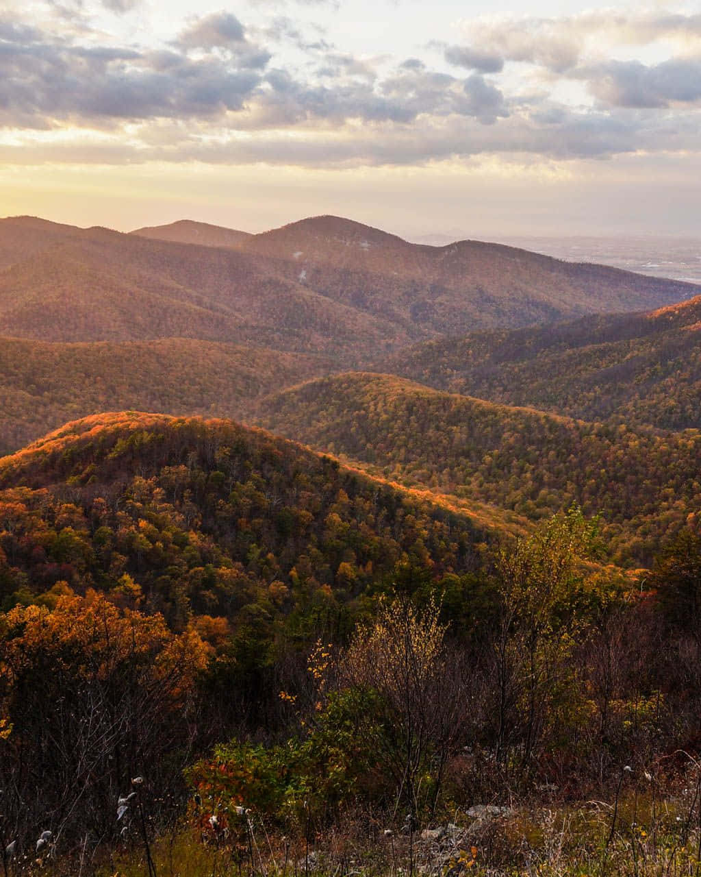 Blue Mountains National Park, autumn mountains, fiery orange, HD Phone Wallpaper